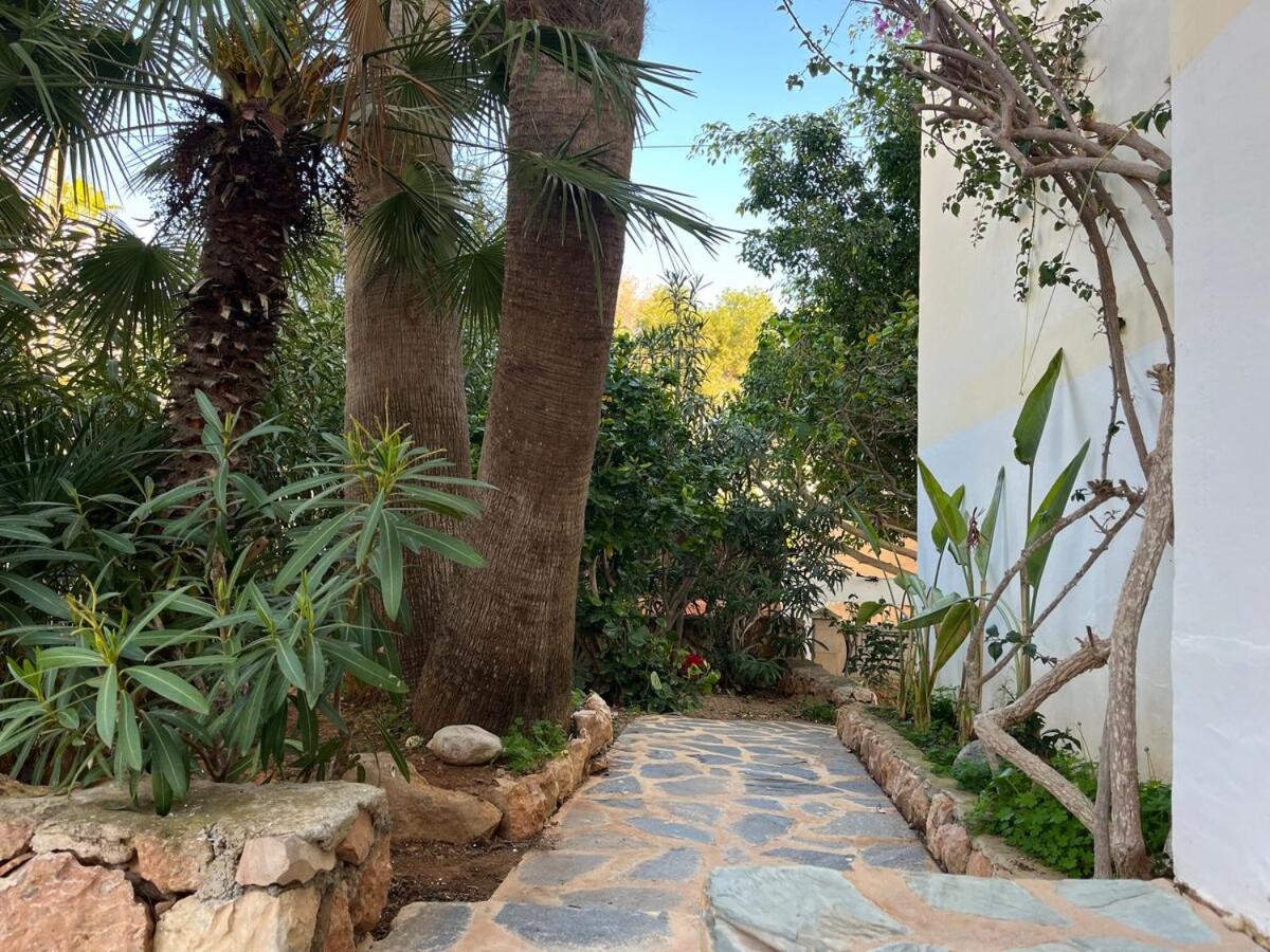 Villa Rosita Ibiza Talamanca  Exteriör bild
